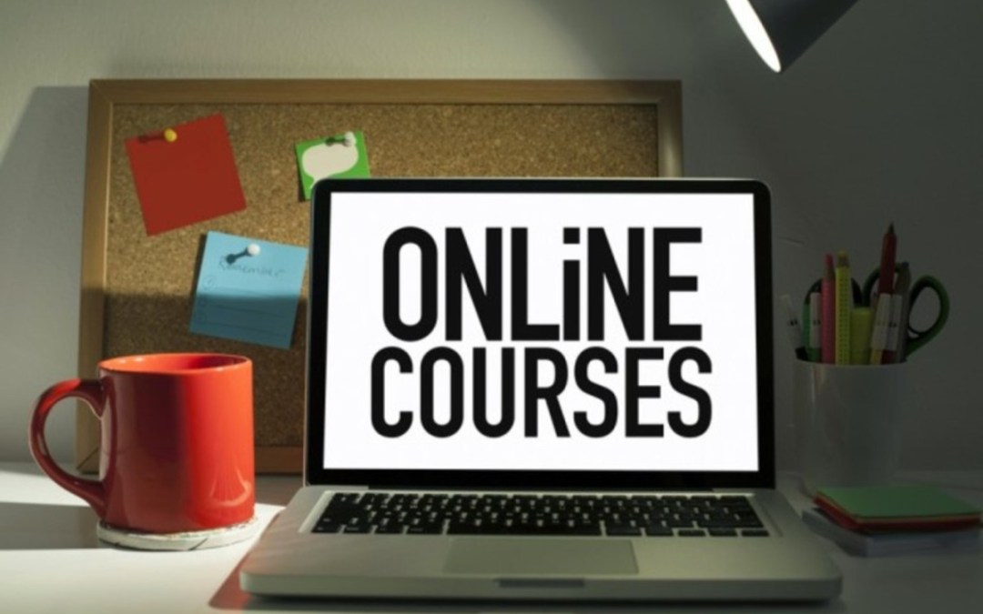 entrepreneurship degree online schools